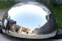 Полусфера ø 1500 нержавеющая сталь (207298) сертификат промоборудование мм.  в Вельске