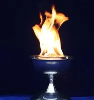 Мириатюрная чаша для огня в Вельске ∅ 210 мм. (518979)