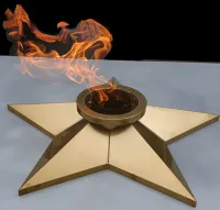 Звезда ø 800 мм. (1631) сертификат комплект горелка ГВД 379 10 89 00 ПС вечный огонь пустотелая  в Вельске