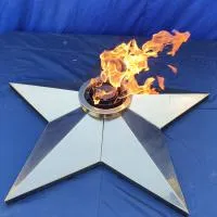 Звезда (газовая горелка) (1633) сертификат комплект горелка ГВД 379 10 89 00 ПС - ø 1000 мм. ветроустойчивая  в Вельске