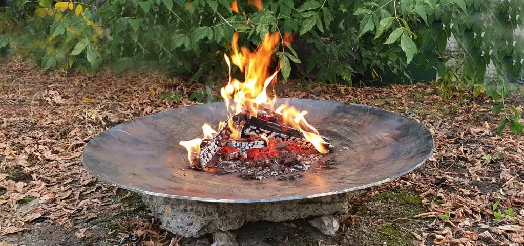 Металлическая чаша для костра АНТОНИНА купить с доставкой в Вельск Металлическая чаша для костра АНТОНИНА купить с доставкой в Вельск